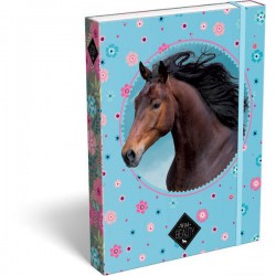 Füzetbox A/5 Wild Beauty Blue